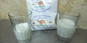 Milk of the camel