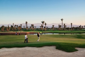Royal palm Golf Course by Alan Keohane