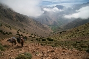 Imlil and Azzaden Valley Trek