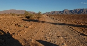 En Route - Desert Harmada